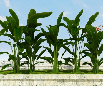 Modern Flowers And Grass-ID:940289511