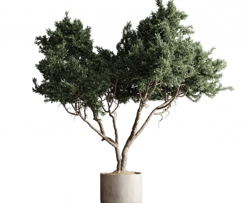 Modern Ground Green Plant Potted Plants-ID:691602954