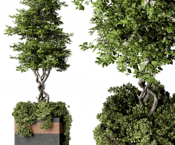 现代落地绿植盆栽-ID:437849045