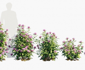 Modern Shrubbery-ID:114135982