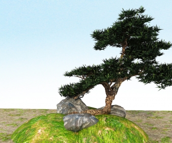 Modern Tree-ID:341224918