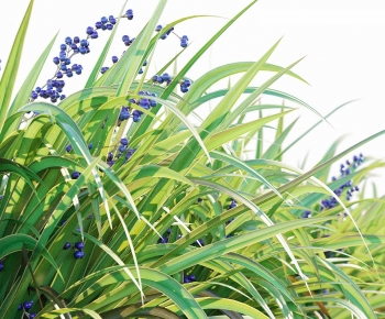 Modern The Grass-ID:143709262