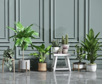 Modern Potted Green Plant-ID:876317023