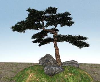 Modern Tree-ID:547734985