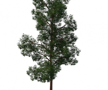 Modern Tree-ID:401810882