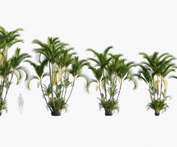 Modern Tree-ID:363544942