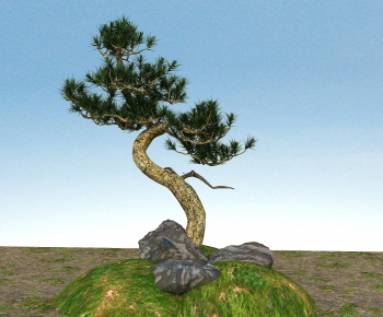 Modern Tree-ID:425683027