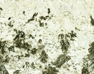 ModernMarble Tiles