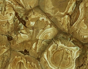 ModernMarble Tiles