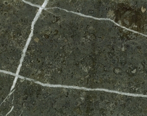 ModernMarble Tiles