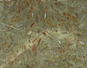 大理石瓷砖奢石-ID:822072031