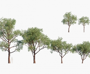 Modern Tree-ID:649765971