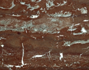 ModernMarble Tiles