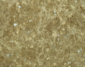 ModernMarble Tiles