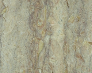 ModernMarble Tiles