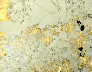 ModernMarble Tiles