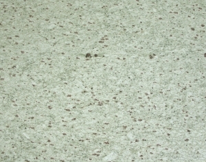 现代水磨石-ID:6359149