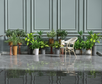 Modern Ground Green Plant Potted Plants-ID:346982962