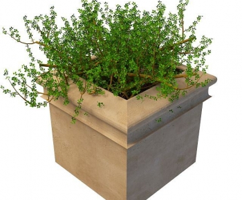 Modern Flower Bed, Flower Bowl, Flower Box-ID:290841104