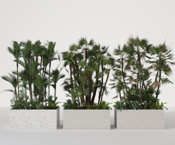Modern Flower Bed, Flower Bowl, Flower Box-ID:193412077