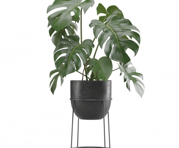 Modern Potted Green Plant-ID:438131093
