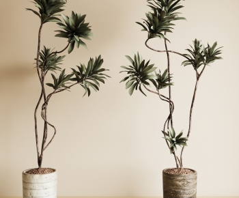 Modern Ground Green Plant Potted Plants-ID:449589019