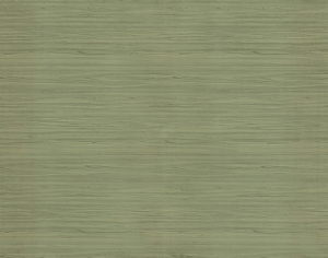 ModernWood Texture