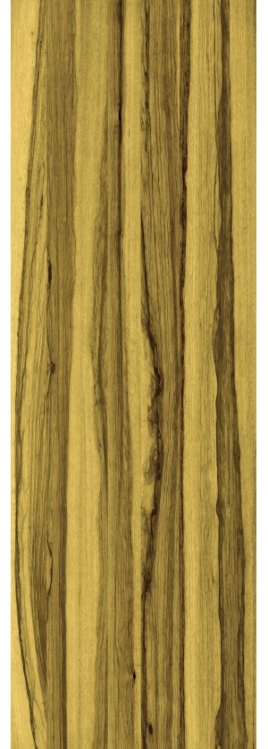 ModernWood Texture