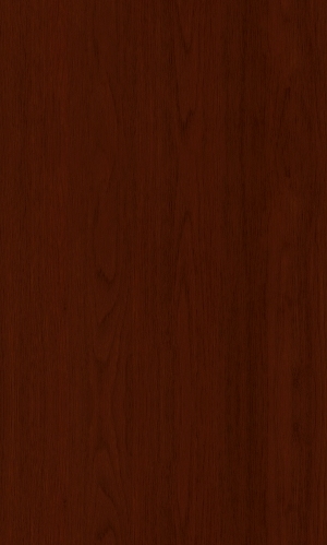 ModernWood Texture