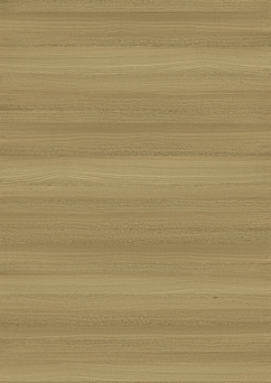 ModernWood Texture