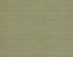 ModernWood Texture