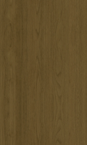 ModernWood Texture