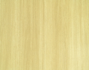 ModernWood Texture