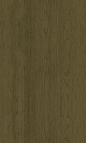 ModernWood Texture