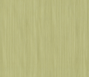 ModernWood Texture