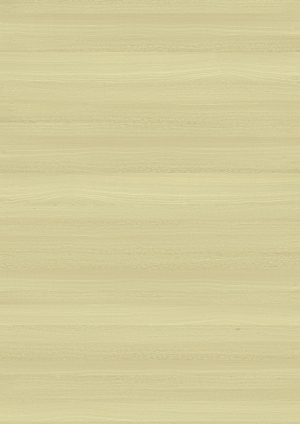 ModernWood Texture