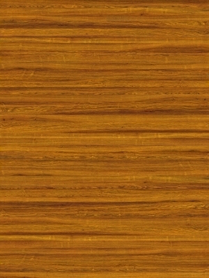 ModernWood Texture