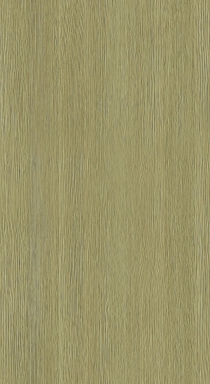 ModernWood Texture