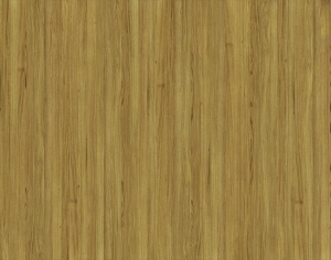 ModernWood Texture