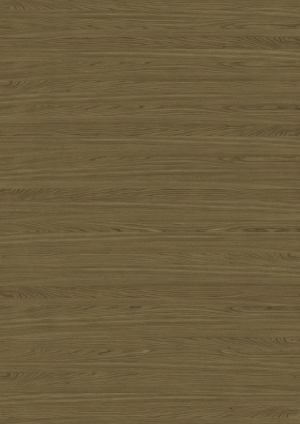 ModernWood Texture