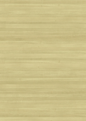 ModernWood Texture