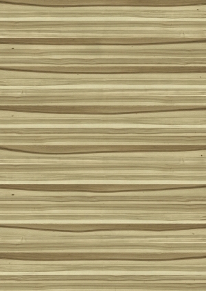 ModernWood Texture