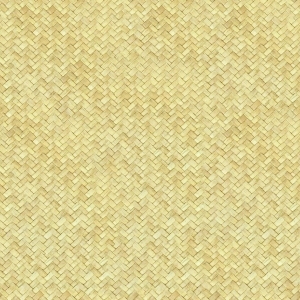 ModernRattan Texture