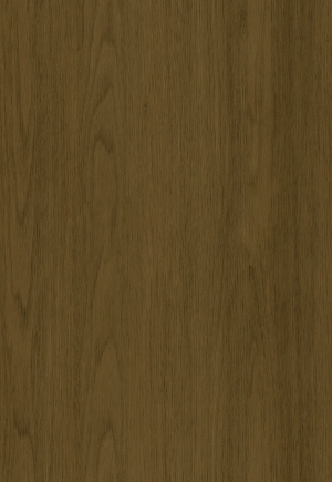 ModernWood Texture