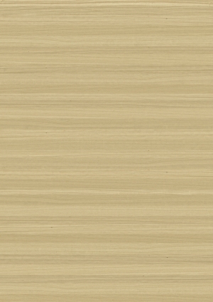 ModernWood Texture