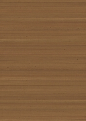 ModernWood Texture