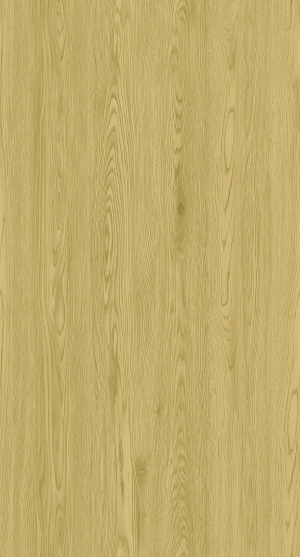 ModernWood Texture