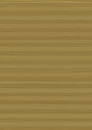 ModernWood Texture