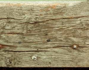ModernWood Texture
