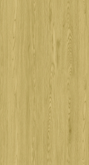 ModernWood Texture